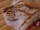 DSC00032_3