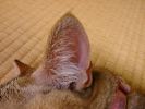 DSC00034_3