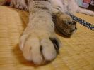 DSC00035_3