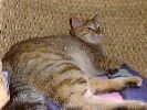 DSC00037_3