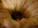 DSC00039_3