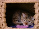 DSC00040_3