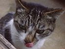 DSC00108_3