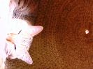 DSC00044_3
