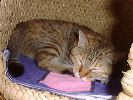 DSC00045_3