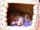 DSC00047_3