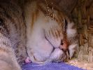 DSC00048_3