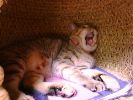 DSC00049_3