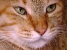 DSC00051_3