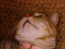 DSC00052_3