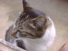DSC00109_3