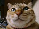 DSC00055_3