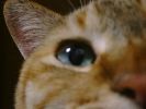 DSC00056_3