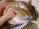 DSC00057_3