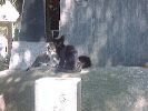 DSC00081_3