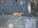 DSC00082_3