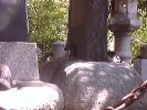 DSC00084_3