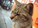 DSCF0617_2