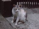 DSC00110_3