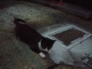 DSCF0829_1