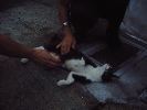 DSCF0830_1