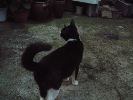 DSCF0832_1