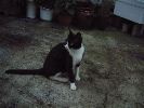 DSCF0833_1