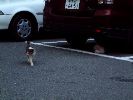 DSCF0834_1