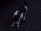 DSCF0837_1