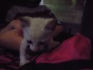 DSCF0851_1