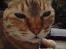 DSCF0904_1