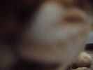 DSCF0910_1