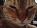 DSCF0912_1