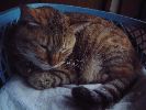 DSCF1027_1