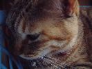 DSCF1029_1