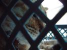 DSCF1030_1