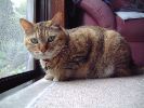 DSCF1033_1