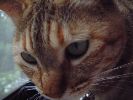 DSCF1034_1