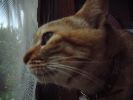 DSCF1036_1