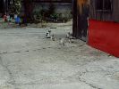 DSCF1102_1