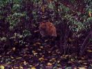 DSCF1164_1