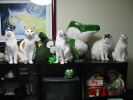 IMG_0696