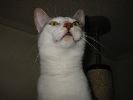 IMG_0710