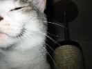 IMG_0715