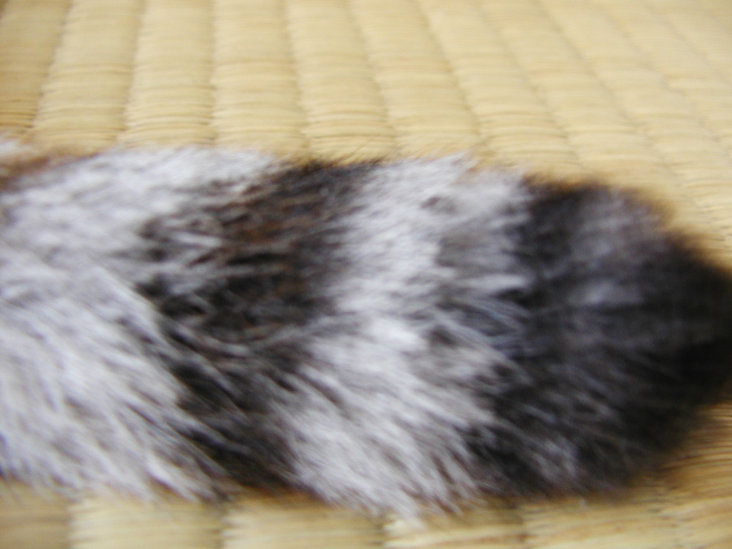 P7211025