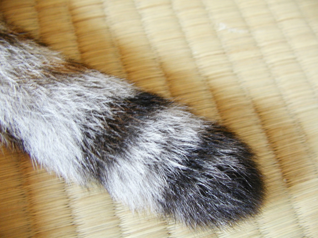 P7211026