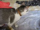 100-0086_IMG_1