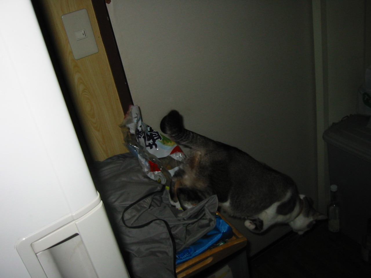 101-0130_IMG_1