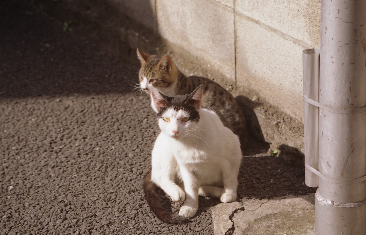 img003