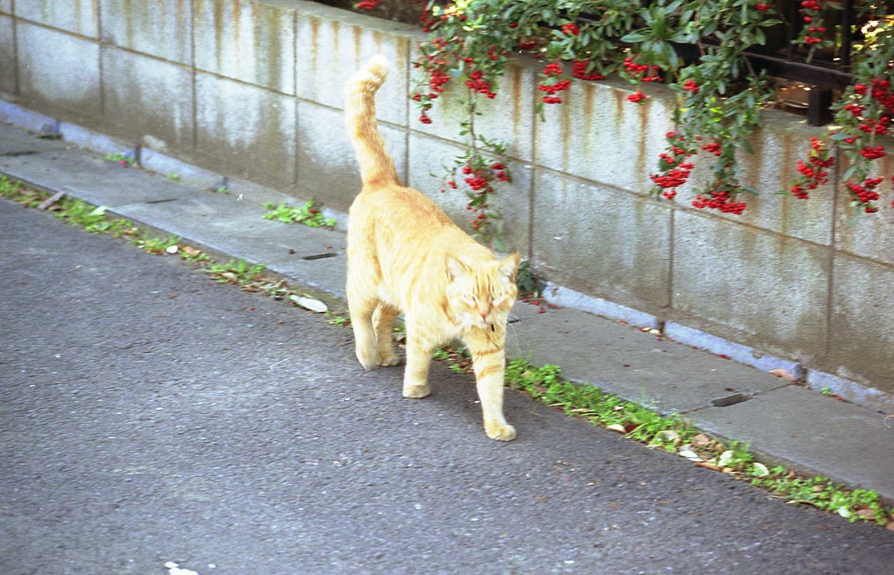 img010